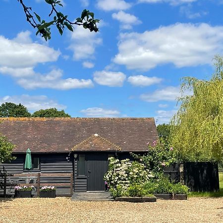 Maplehurst Barn Stables Staplehurst Kültér fotó