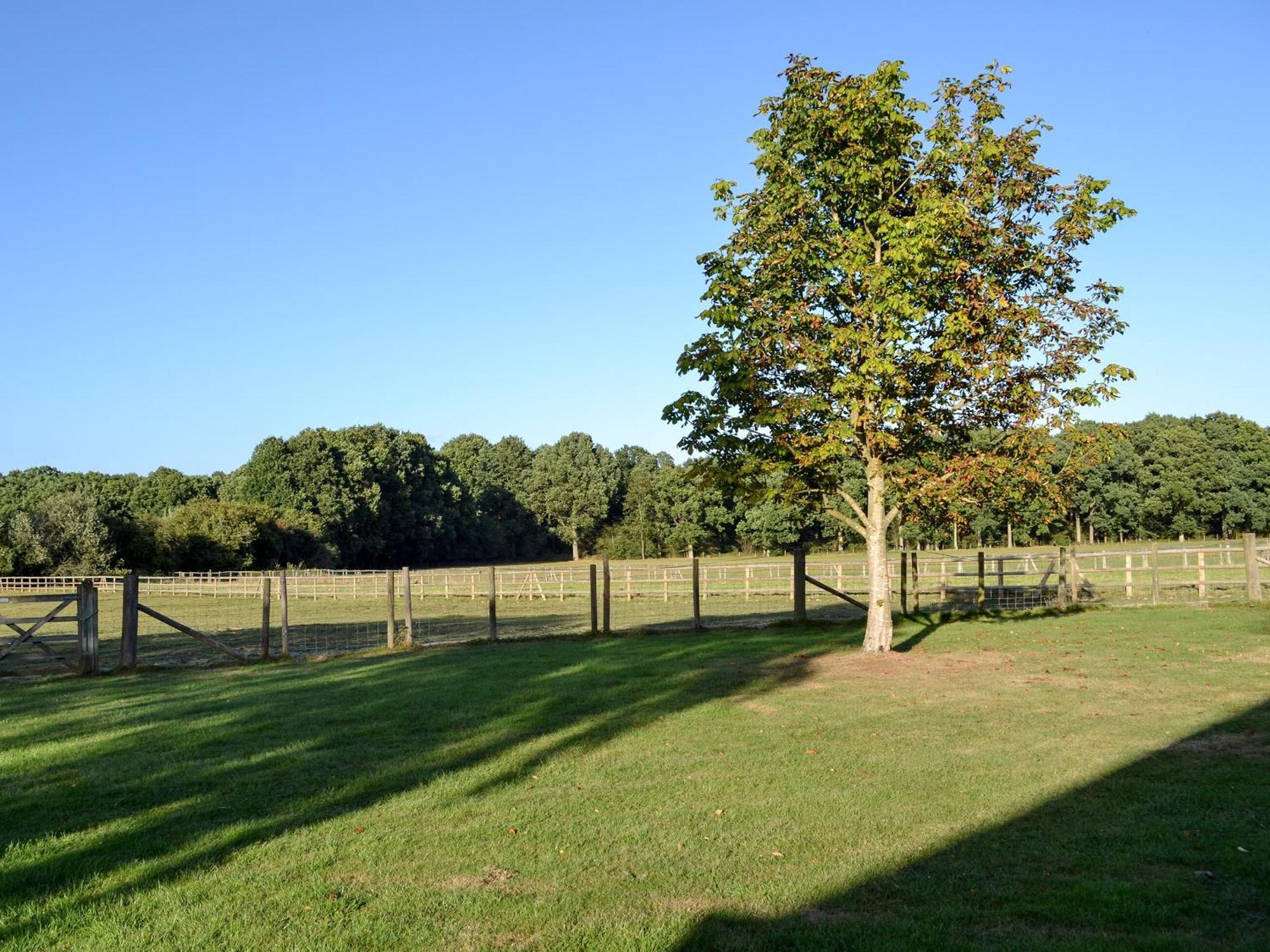 Maplehurst Barn Stables Staplehurst Kültér fotó